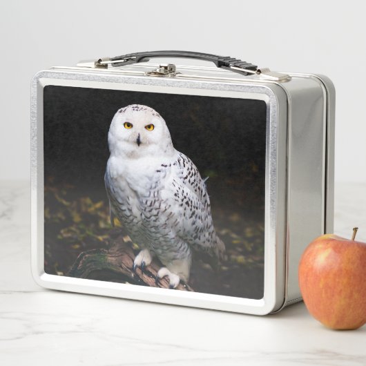 Lunch Box Chouette hivernale majestueuse (En situation)