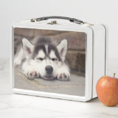 Lunch Box Chuppy Husky Sleeping (En situation)