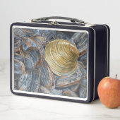 Lunch Box Clams and Quahog Shell (En situation)