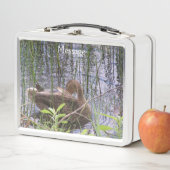 Lunch Box Closeup photo of a duck (En situation)