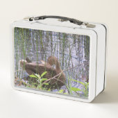 Lunch Box Closeup photo of a duck (Dos)