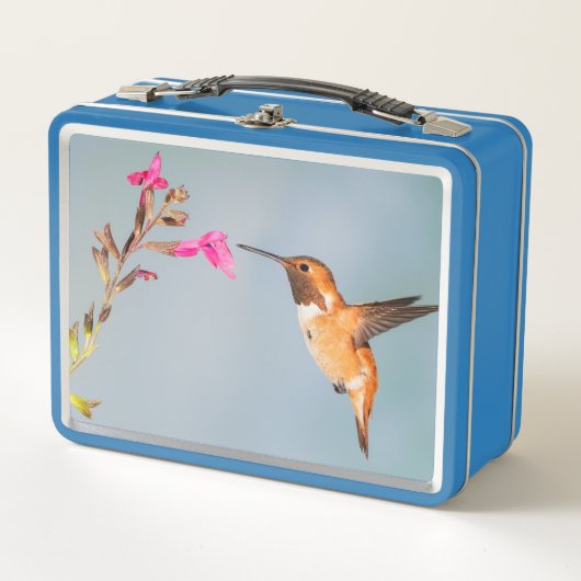 Lunch Box Colibri (Devant)