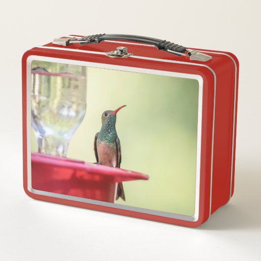 Lunch Box Colibri à ventre cassé au Texas (Devant)