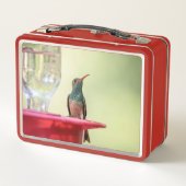 Lunch Box Colibri à ventre cassé au Texas (Dos)