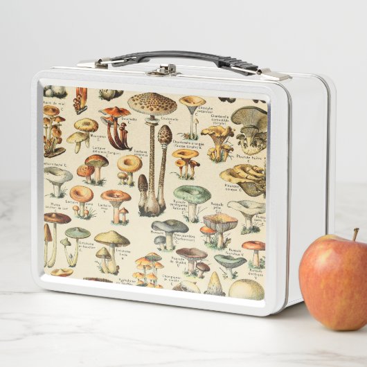 Lunch Box Collection de champignons (En situation)