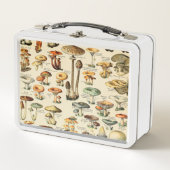 Lunch Box Collection de champignons (Devant)