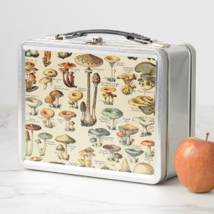 Lunch Box Collection de champignons