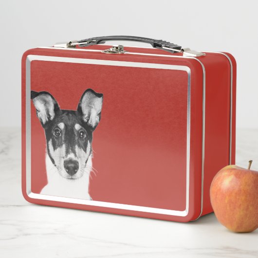 Lunch Box Collie (En situation)