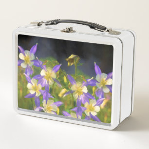 Lunch Box Colorado Blue Columbine Peinture - Art original