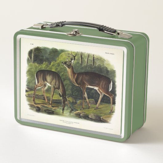 Lunch Box Common Deer (Devant)