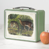 Lunch Box Common Deer (En situation)