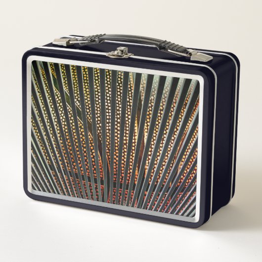 Lunch Box Conception de basket-ball par bandes (Devant)