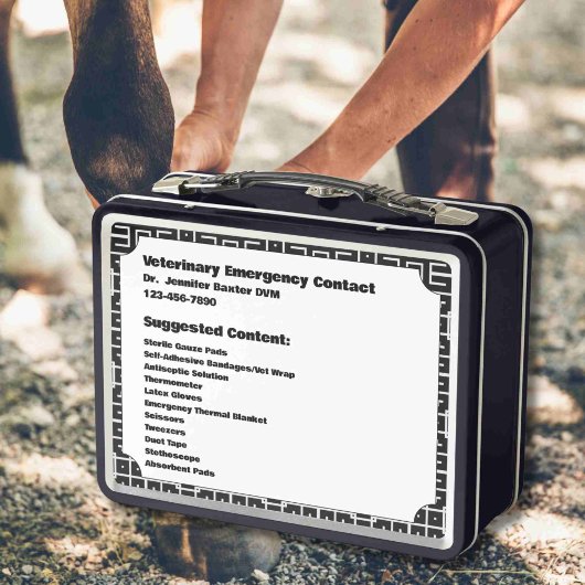 Lunch Box Conteneur d'urgence sur mesure de premiers soins