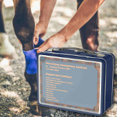 Lunch Box Conteneur d'urgence sur mesure de premiers soins