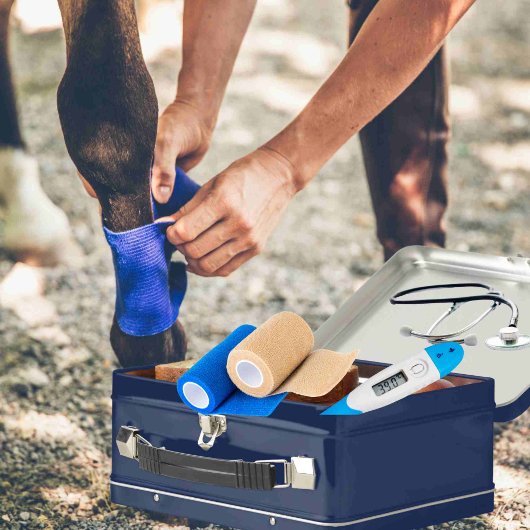 Lunch Box Conteneur d'urgence sur mesure de premiers soins