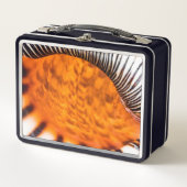 Lunch Box Coquillage hypnotique (Devant)