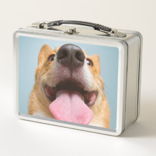 Lunch Box Corgi très heureux des images   de Getty