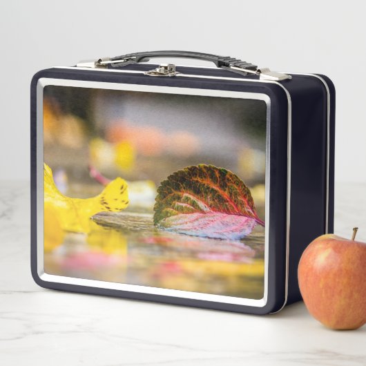 Lunch Box Couleurs d'automne (En situation)