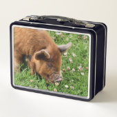 LUNCH BOX COUPER (Dos)