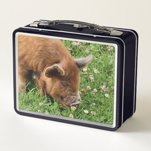 LUNCH BOX COUPER (Dos)