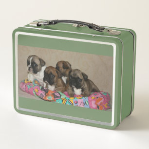 Lunch Box Coussin bouledogues français Bulldogue français