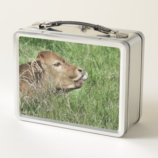 Lunch Box COW Cute (Dos)