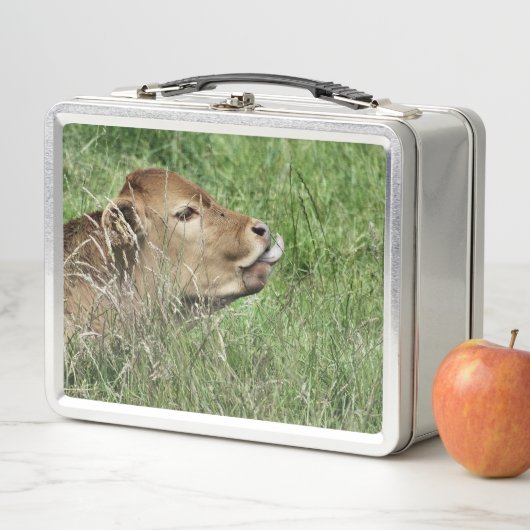 Lunch Box COW Cute (En situation)