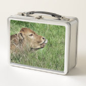 Lunch Box COW Cute (Devant)