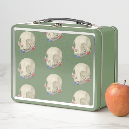 Lunch Box Crâne de chat avec Flore (En situation)