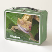 Lunch Box Crested Gecko (Devant)