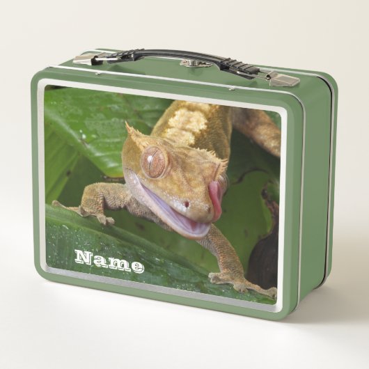 Lunch Box Crested Gecko (Dos)