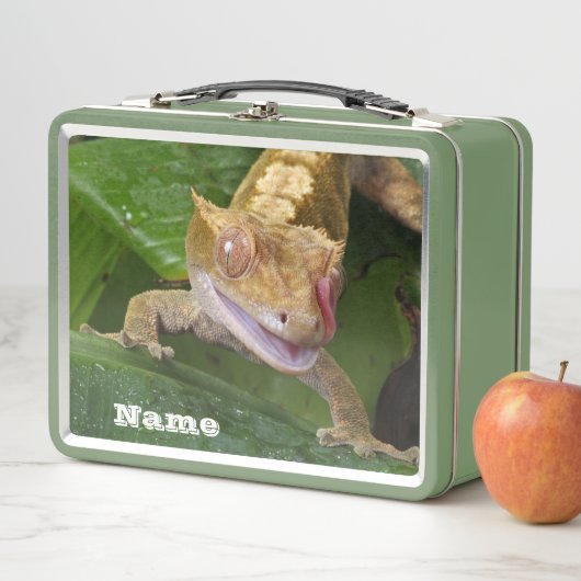Lunch Box Crested Gecko (En situation)