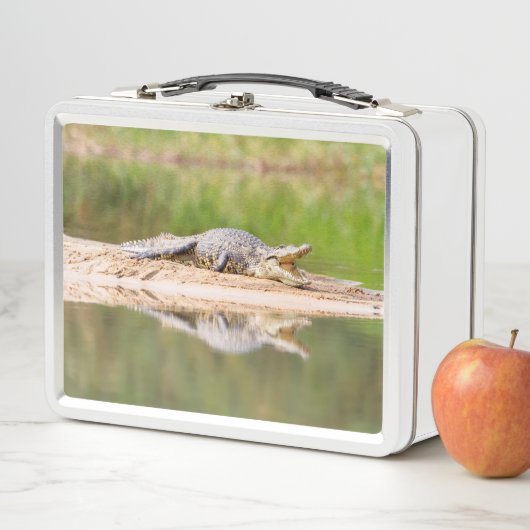 Lunch Box Crocodile (En situation)