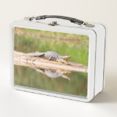 Lunch Box Crocodile (Devant)