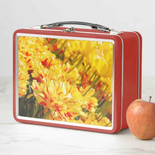 Lunch Box Croissance en or (En situation)