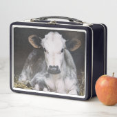 Lunch Box Culture occupée de jour (En situation)