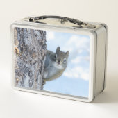 Lunch Box Curious Squirrel, Canadian Animal Photography (Dos)