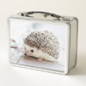 Lunch Box Cute Baby Hedgehog Photo (Dos)