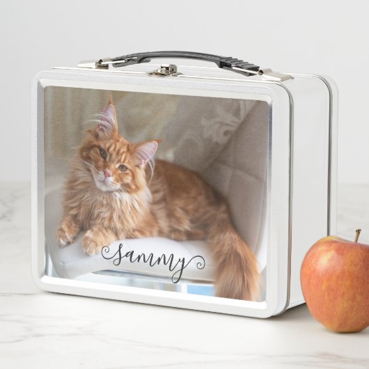 Lunch Box Cute Curly Nom Cat Photo (En situation)