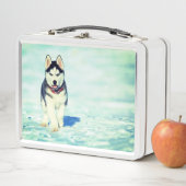 Lunch Box Cute Husky (En situation)