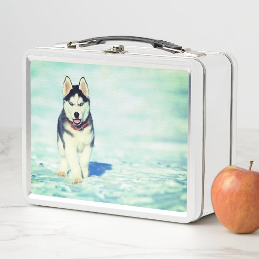 Lunch Box Cute Husky (En situation)
