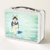 Lunch Box Cute Husky (Dos)