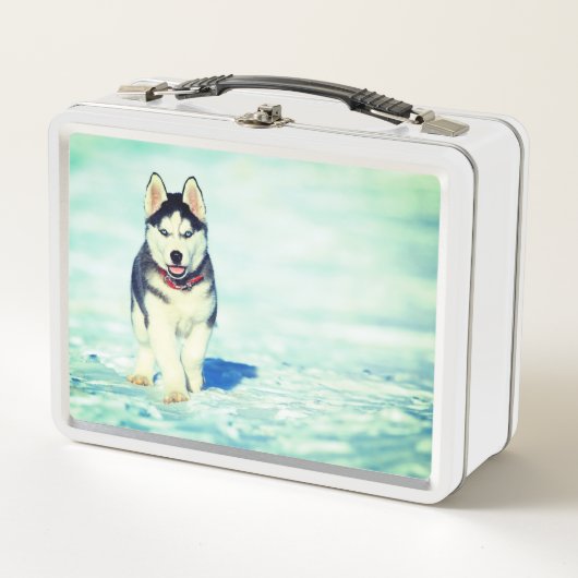 Lunch Box Cute Husky (Devant)