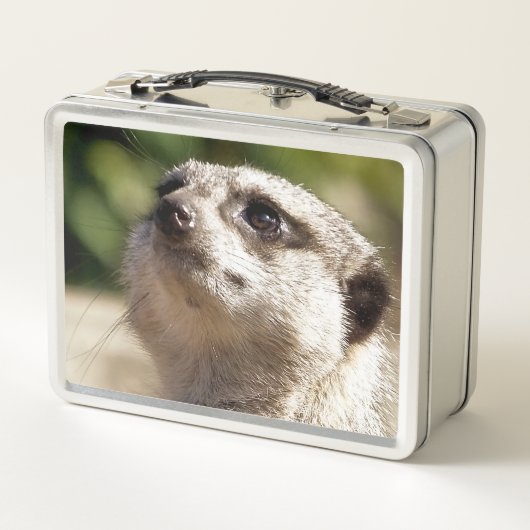LUNCH BOX CUTE MEERKAT (Dos)