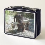 Lunch Box Dachshund (Dos)