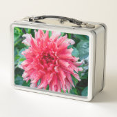 Lunch Box Dahlia Pink Photographie canadienne de fleurs (Dos)