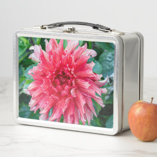 Lunch Box Dahlia Pink Photographie canadienne de fleurs