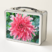 Lunch Box Dahlia Pink Photographie canadienne de fleurs (Devant)