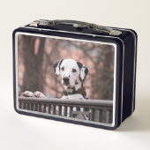 Lunch Box Dalmatien (Dos)