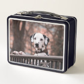 Lunch Box Dalmatien (Devant)
